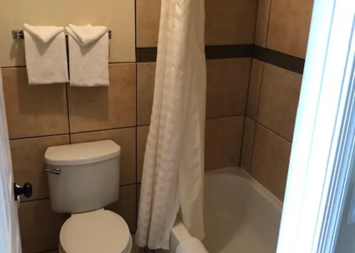 Hotel American Executive 3*
